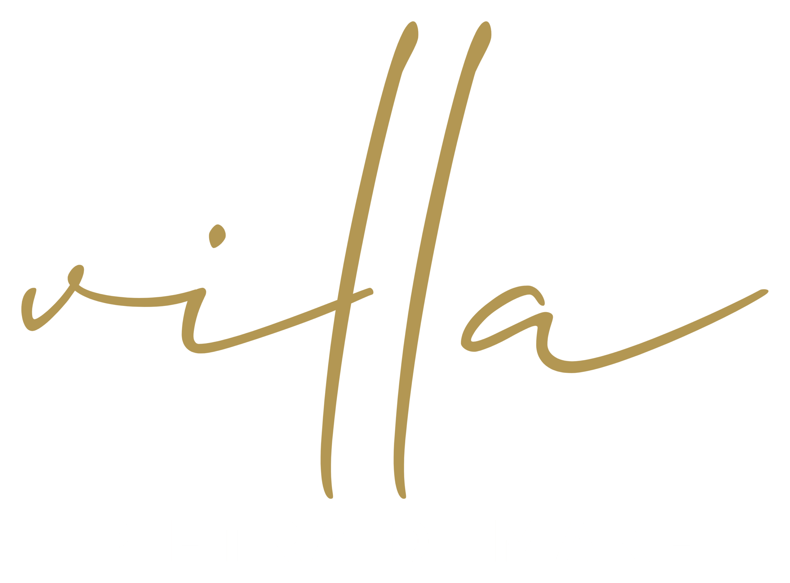 MIXEDLOGO